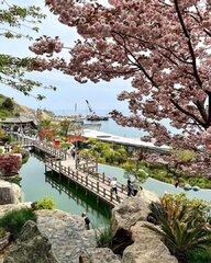 Японский сад 6 чувств..jpg